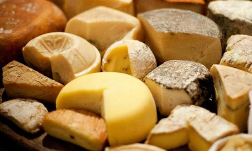 Лучше, чем в Европе: российский сыр изумил гостей фестиваля в Подмосковье Сырная выставка
